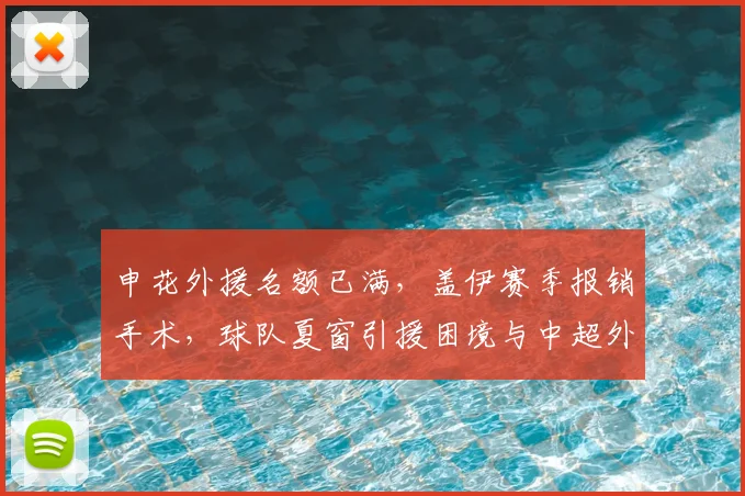 申花外援名额已满,盖伊赛季报销手术,球队夏窗引援困境与中超外援政策解读